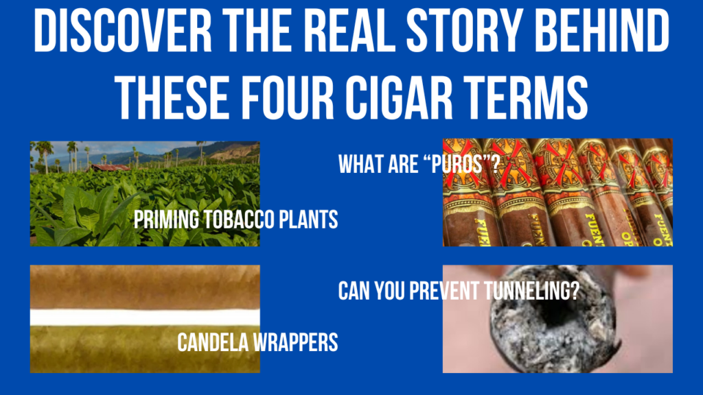 Discover the full story behind these cigar terms